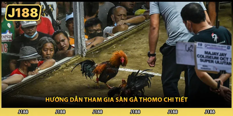 Hướng dẫn tham gia sàn gà thomo chi tiết