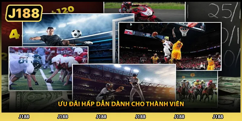 Ưu đãi hấp dẫn dành cho thành viên